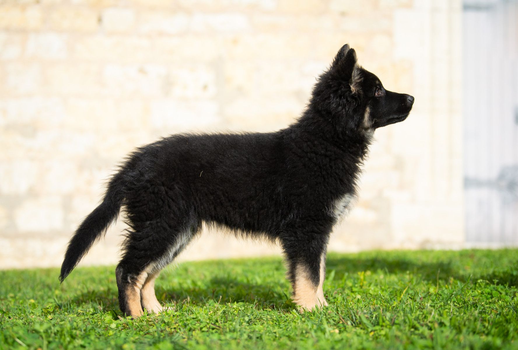 Noir et sable