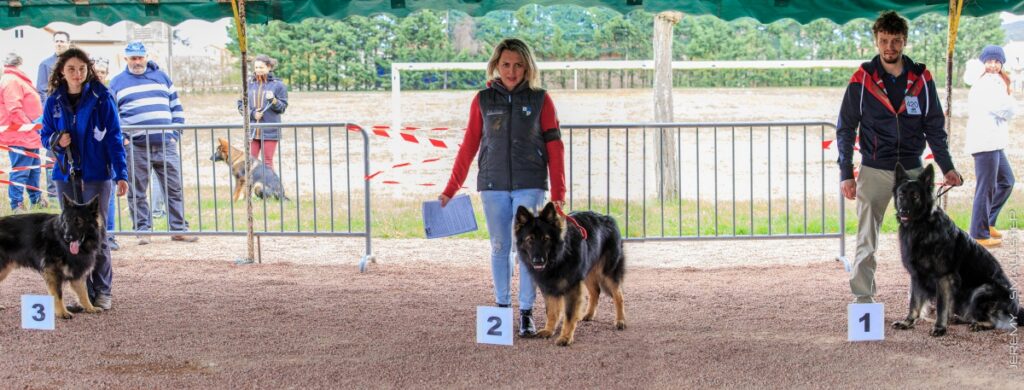 podium