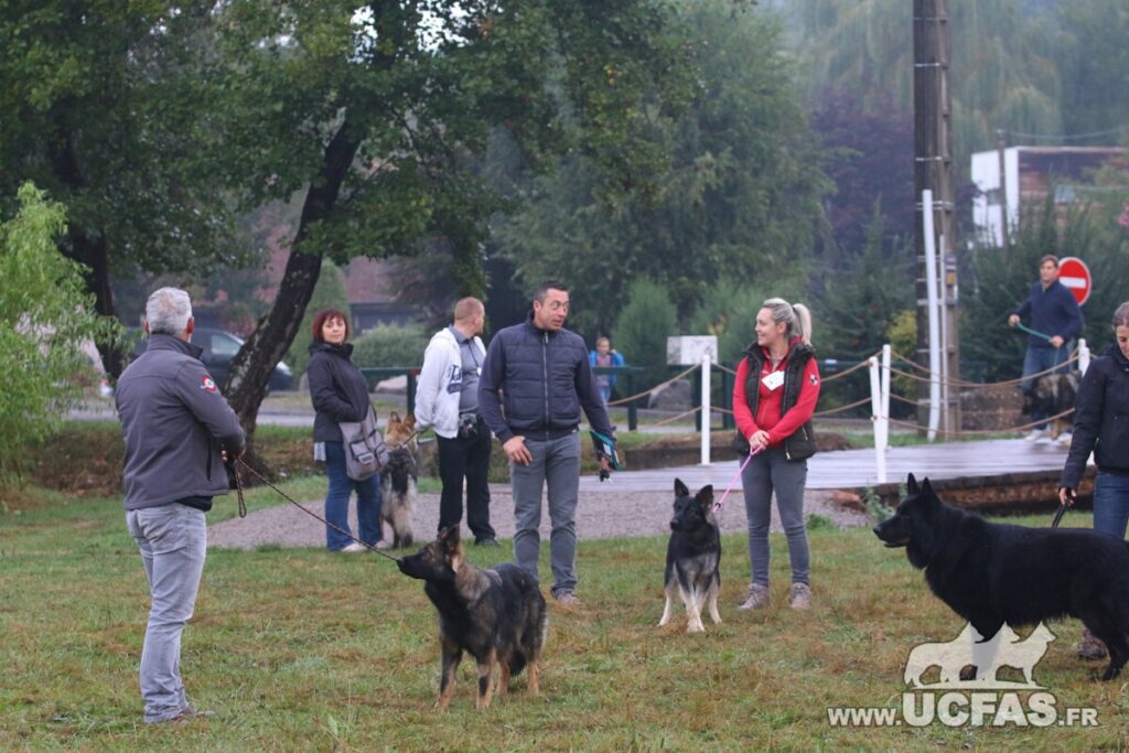 rsIMG_1491