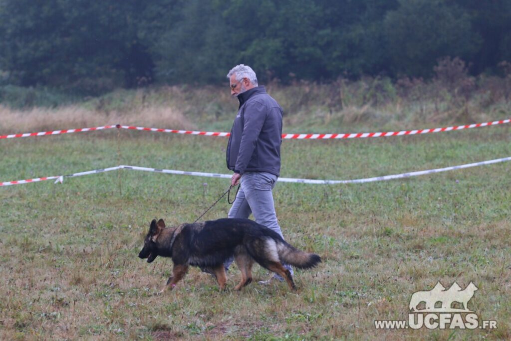 rsIMG_1528
