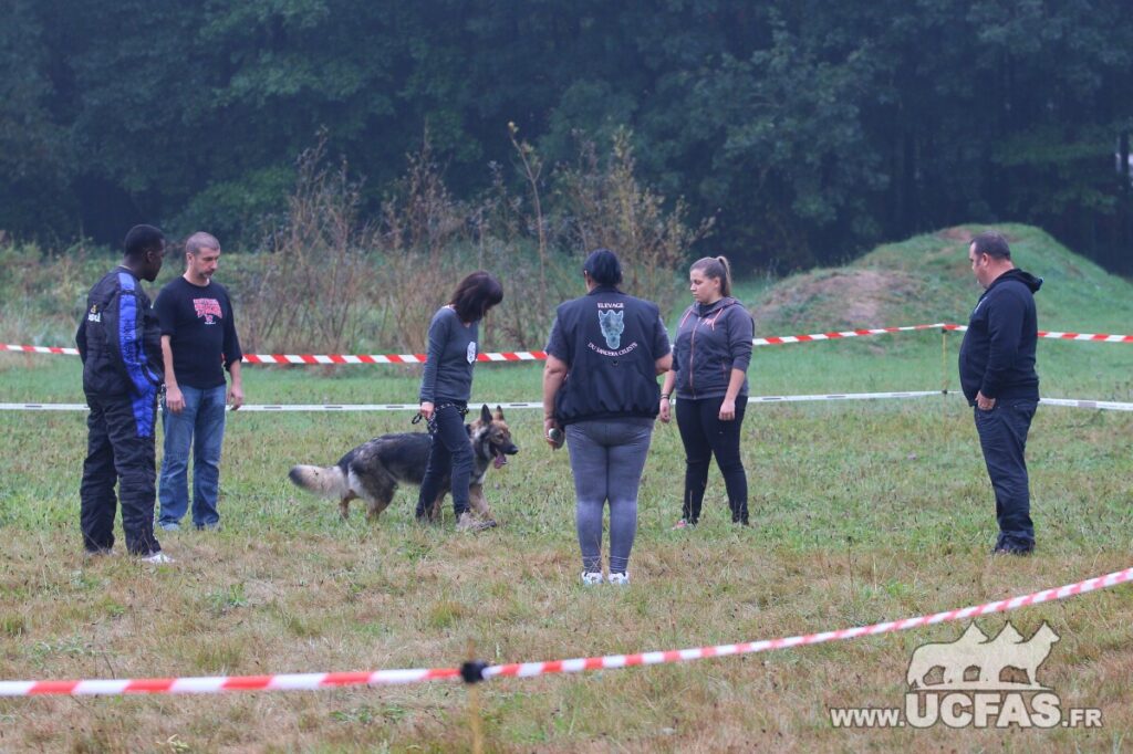 rsIMG_1672