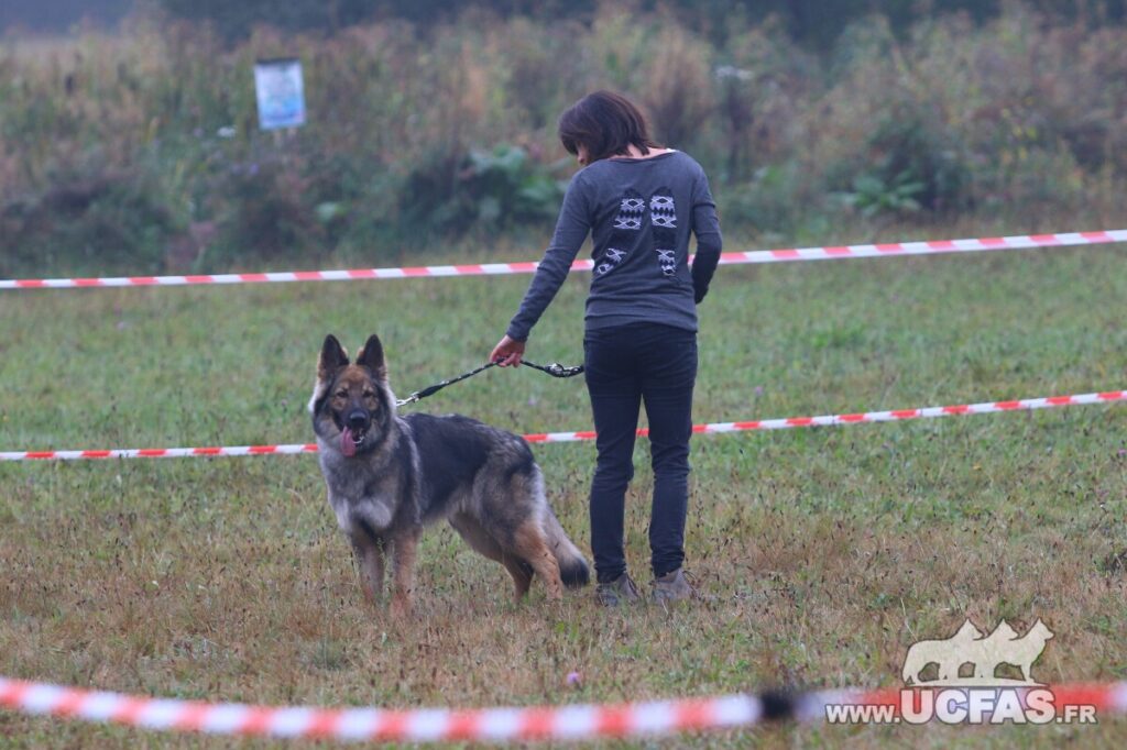 rsIMG_1694
