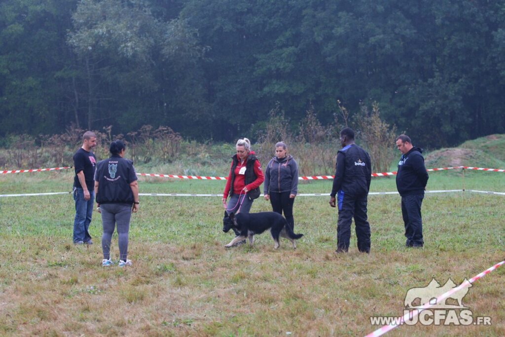 rsIMG_1725