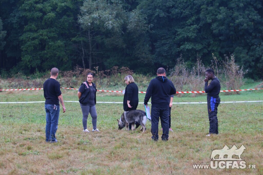 rsIMG_2082