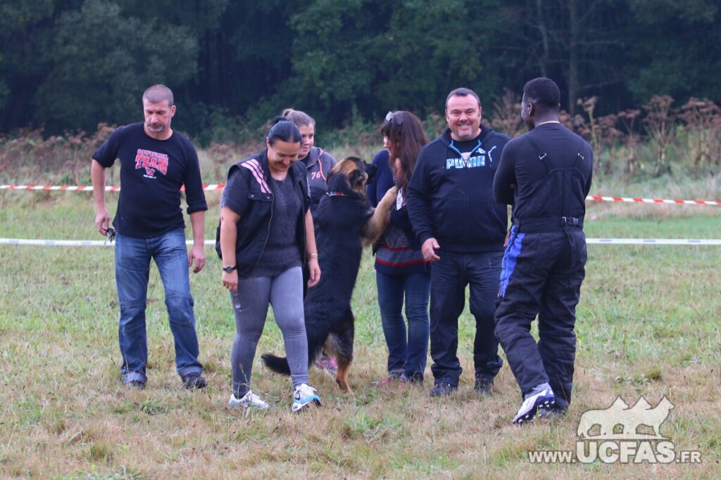 rsIMG_2218