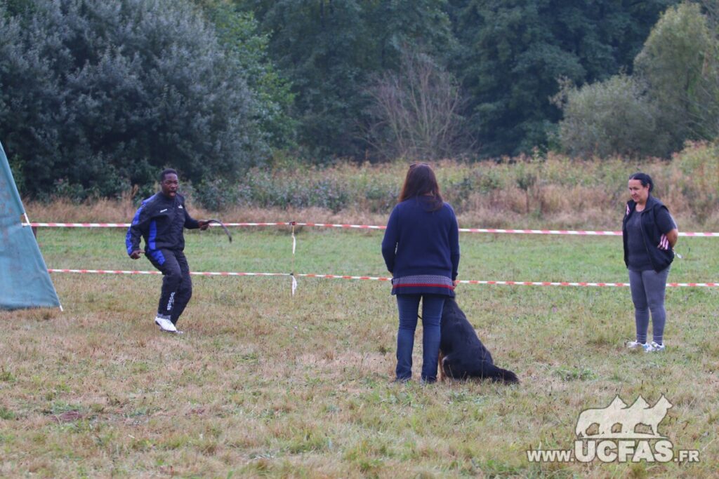 rsIMG_2253