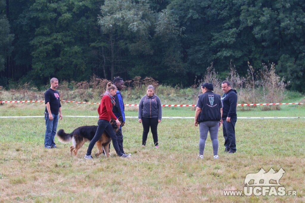 rsIMG_2271